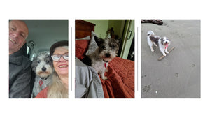 Furry Friends Enrich Our Lives and Help Us Find Moments of Alignment