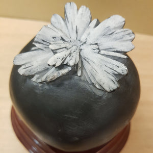 Chrysanthemum Stone