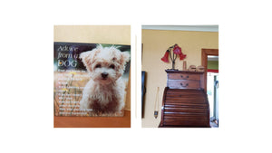 There’s No Right or Wrong Way to Grieve