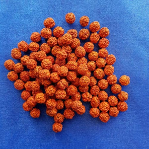 108 Rudraksha Loose Beads (8mm) to make your own Prayer/Mala Beads