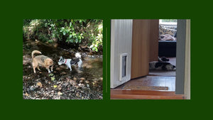 What a lovely day ...