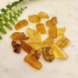 Baltic Amber Tumbled Stone Warmth, Protection & Ancient Energy