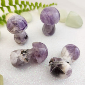 Chevron Amethyst Mushroom