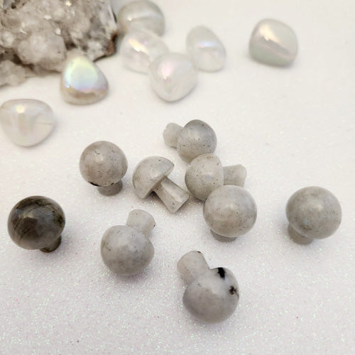Labradorite Mushroom (pale & assorted. approx. 2x1.5cm)