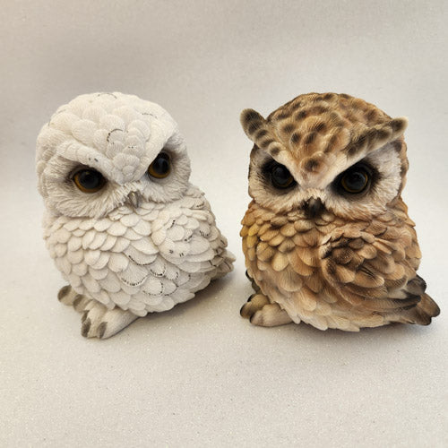 Cute Sitting Owl (assorted)