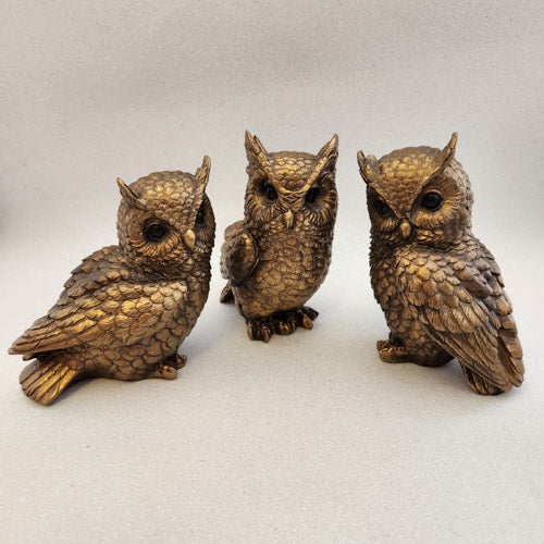 Bronze Look Owl (assorted)