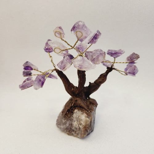 Amethyst Rough Rock Tree on Amethyst Base (assorted. approx. 13.4-16x15.5-17.5cm)