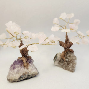 Rose Quartz Rough Rock Tree on Amethyst Base