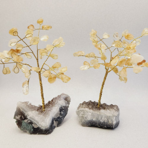 Citrine Tree on Amethyst Base (assorted. approx. 13.5-17.7x12.4-13.6cm).