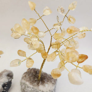 Citrine Tree on Amethyst Base