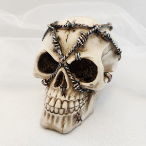 Skull with Wire