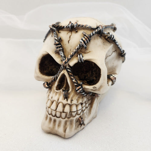 Skull with Wire (approx. 12cm)