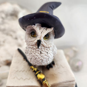 Witchy Owl on Book Trinket Box