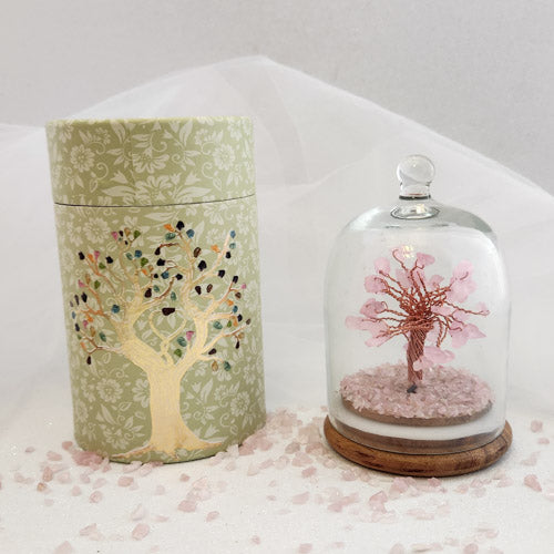 Rose Quartz Crystal Wish Tree in Glass Dome with Beautiful Box  (approx. 12x8cm)