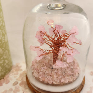 Rose Quartz Crystal Wish Tree in Glass Dome with Beautiful Box