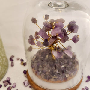 Amethyst Crystal Wish Tree in Glass Dome with Beautiful Box