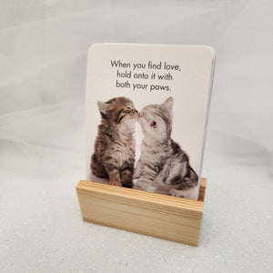 A Little Box of The Cat's Whiskers Affirmation Cards
