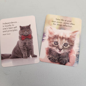 A Little Box of The Cat's Whiskers Affirmation Cards