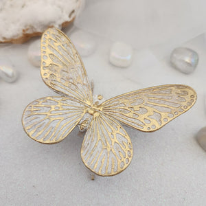 Gold Butterfly