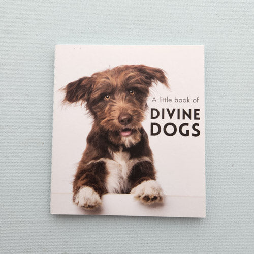 A Little Book of Divine Dogs (approx. 8.5x9.5cm)