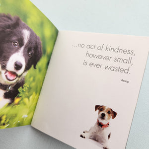 A Little Book of Divine Dogs