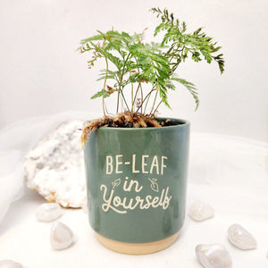 Green Be-Leaf in Yourself Plant Pot