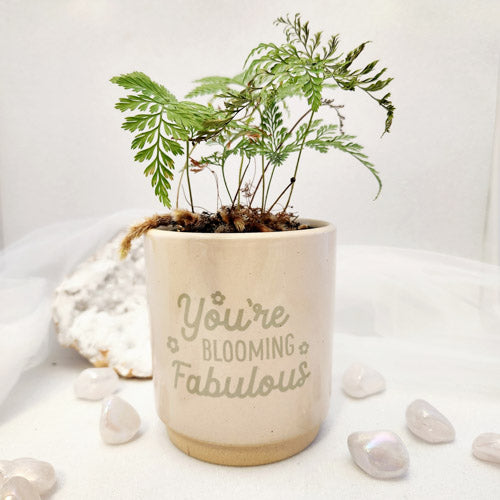 You're Blooming Fabulous Plant Pot (approx.10 x 9 x 9.5 cm)