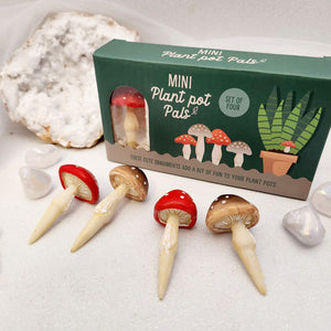 Mini Mushroom Plant Pot Pals 