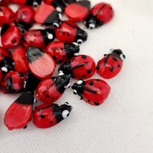 Ladybug Bead