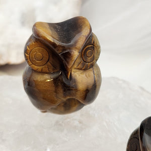 Gold Tiger's Eye Owl