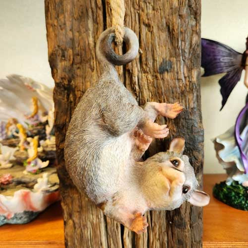 Hanging Possum (approx. 53cm)