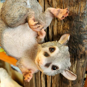 Hanging Possum