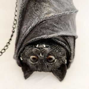 Hanging Cat in Bat Wings