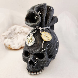 Skull in Money Bag