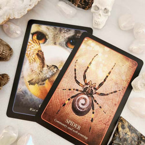 The Halloween Oracle Card Deck