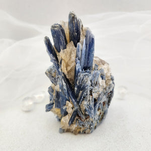 Blue Kyanite with Quartz Specimen