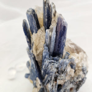 Blue Kyanite with Quartz Specimen