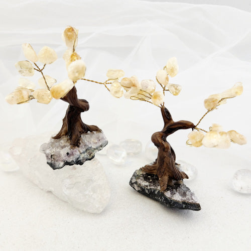 Citrine Crystal Tree on Amethyst Cluster (heat treated. assorted. approx. 8.9-10.3x8-9cm)