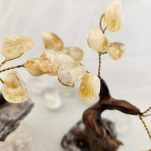 Citrine Crystal Tree on Amethyst Cluster