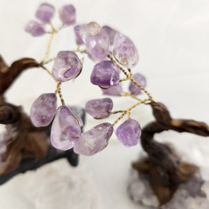 Amethyst Crystal Tree on Amethyst Cluster 