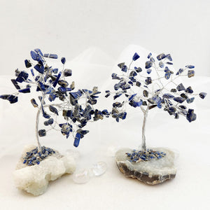 Sodalite Crystal Tree