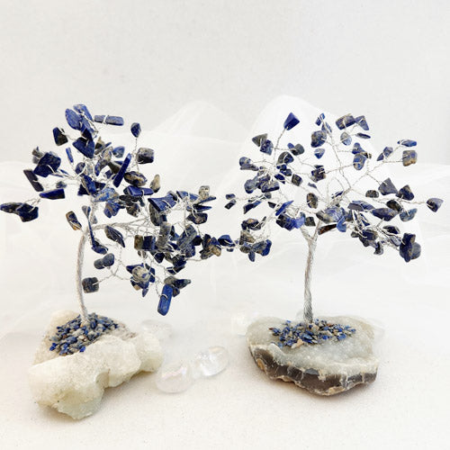 Sodalite Crystal Tree (assorted. approx.  20x11cm)