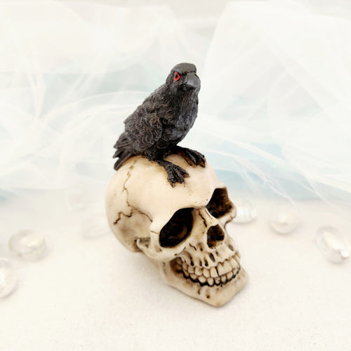 Raven Sitting on Skull (approx. 12cm)
