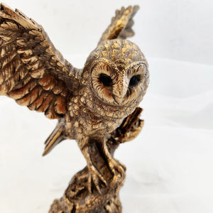 Bronze Look Owl Taking Flight