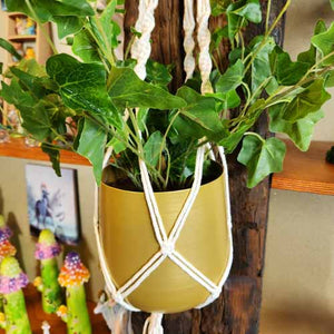 Macrame Pot Hanging with Fake Plant