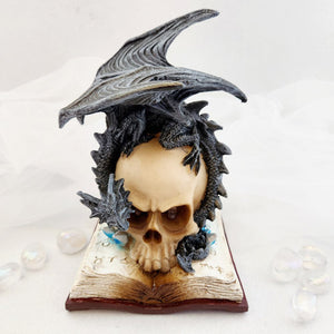 Skull On Book With Black Dragon With Led