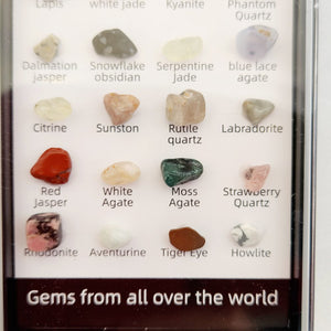 Tiny Raw Gems From All Over the World Display Case