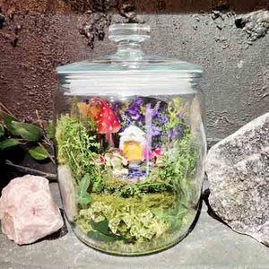 Fairy Garden in 7 litre Jar