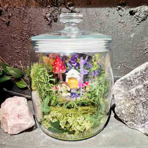 Fairy Garden in 7 litre Jar (approx. 30x20cm)