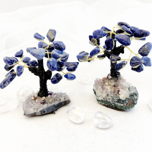 Sodalite Crystal Tree on Cluster (assorted. approx. 10-12x8.9-9.7cm)